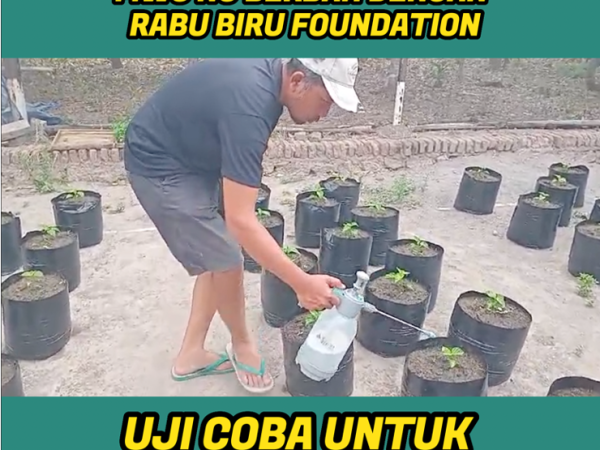Rabu Biru Foundation dan KEP Tirta Nusa Hayati LPP NU MWC NU Berbah Kerja Keras Buat Percontohan Polybag, Rencana Capai 1 Juta Polybag di Berbah