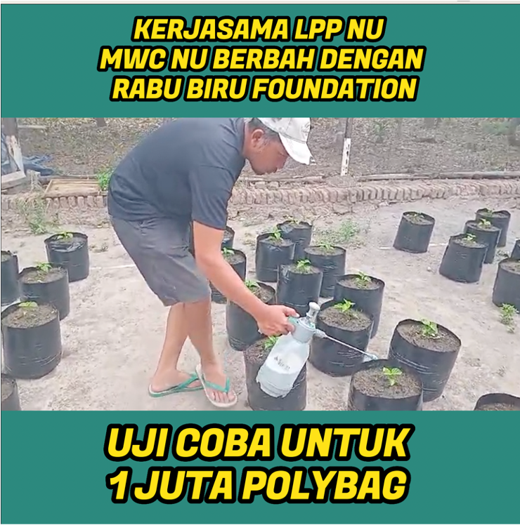 Rabu Biru Foundation dan KEP Tirta Nusa Hayati LPP NU MWC NU Berbah Kerja Keras Buat Percontohan Polybag, Rencana Capai 1 Juta Polybag di Berbah